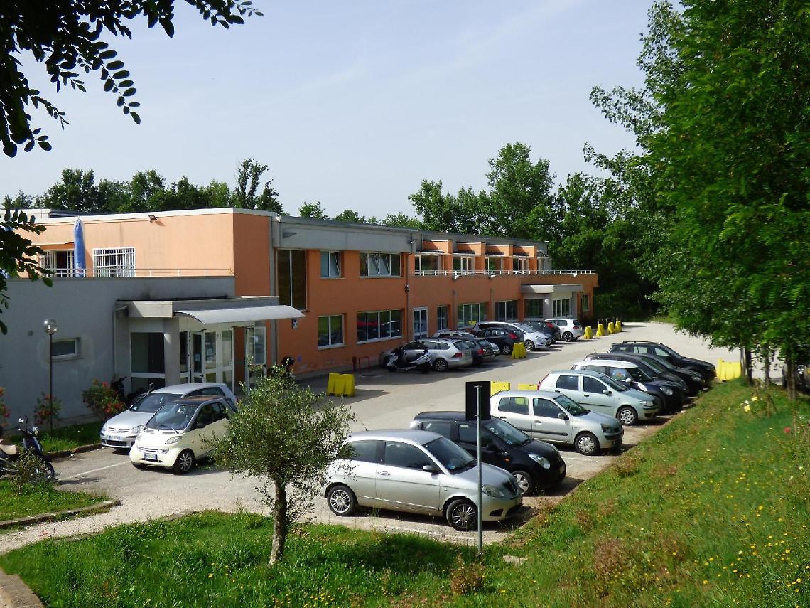 Stadio del nuoto. Due progetti in corsa: la parola all'ufficio tecnico