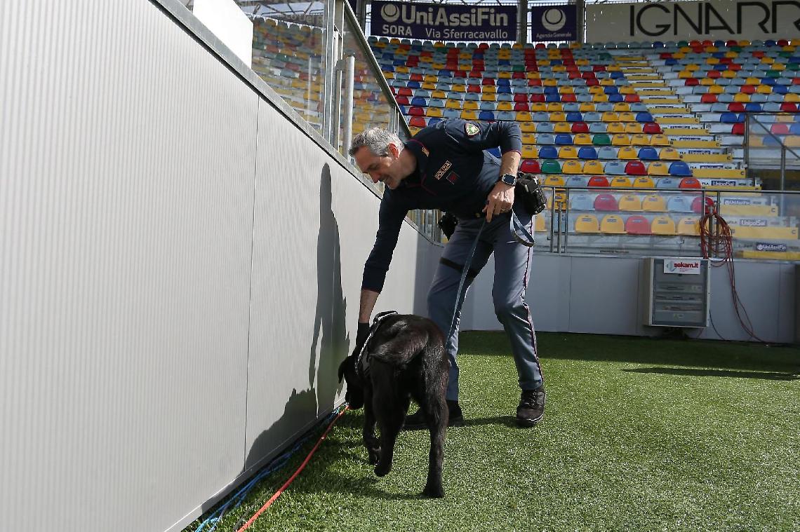 Frosinone-Pisa, partita a rischio. Limiti per il settore ospiti