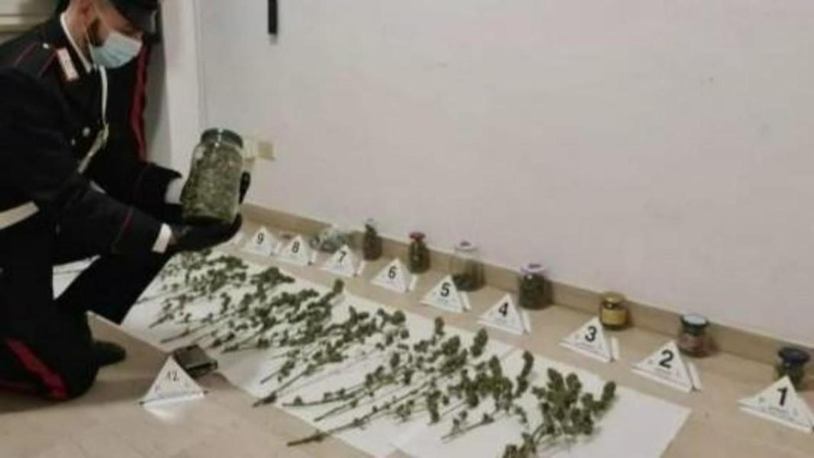 Preso con oltre 500 grammi di droga: assolto. Era per uso personale