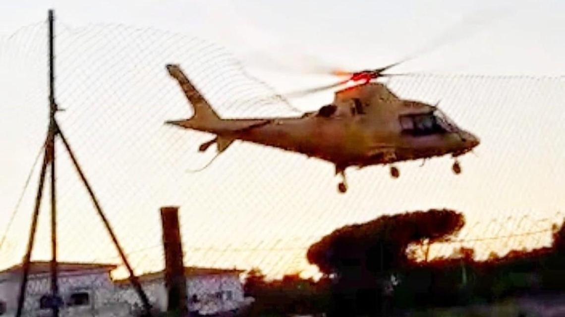Cade da una pianta mentre pota un ulivo. Trovato in fin di vita