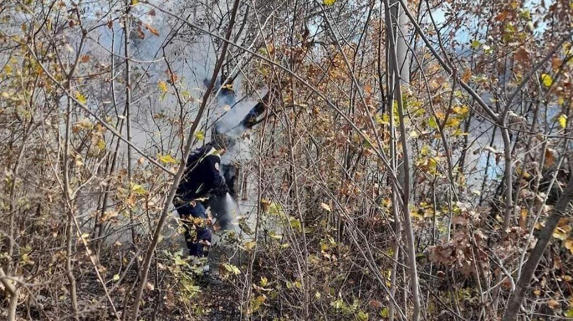 Uliveto e giardino in fiamme. Sul posto vigili del fuoco e protezione civile
