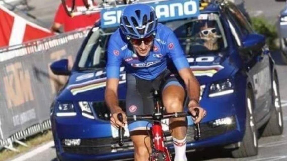 Uccide il gatto del ministro. Condannato il ciclista professionista