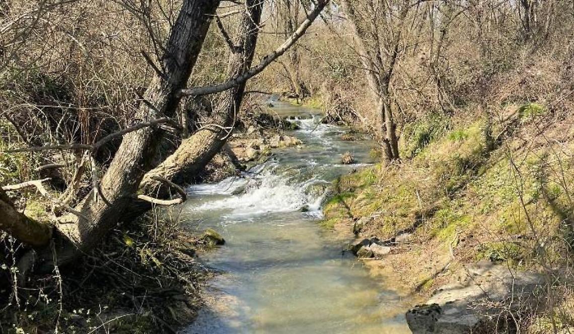 Schiuma nel Meringo forse provocata dallo scarico di saponi