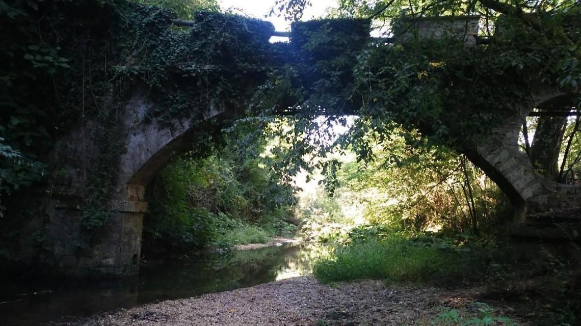 Parco del fiume Cosa, si accelera per rilanciare il progetto