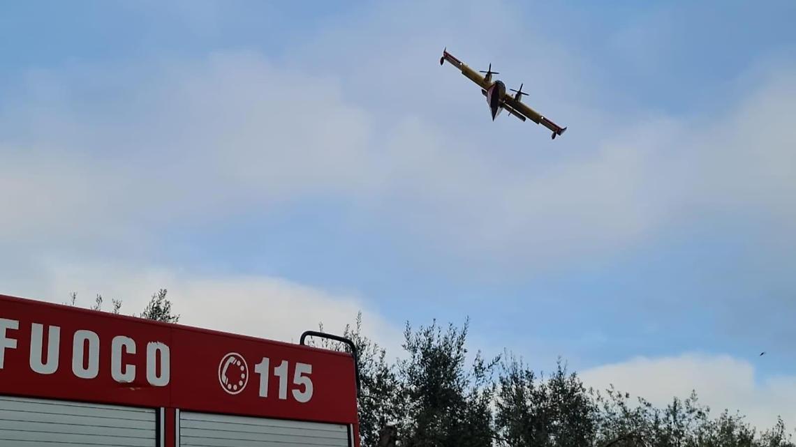 Un incendio devastante brucia ettari di bosco