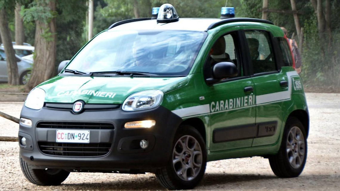 Rifiuti e permessi sotto la lente dei carabinieri forestali