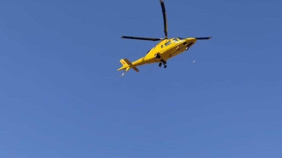 Cede una piattaforma durante le operazioni di potatura. Due operai morti