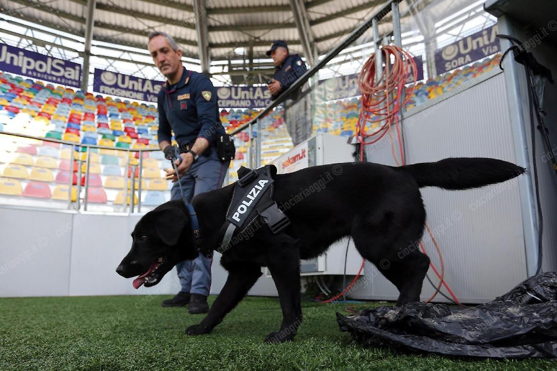 Frosinone Calcio, piÃƒÂ¹ vigilanza per il match contro la Reggina e per quello di Pisa