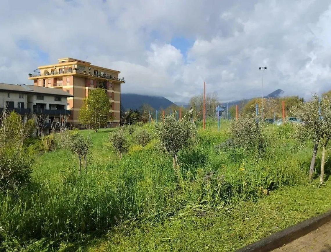 mercato coperto ceccano