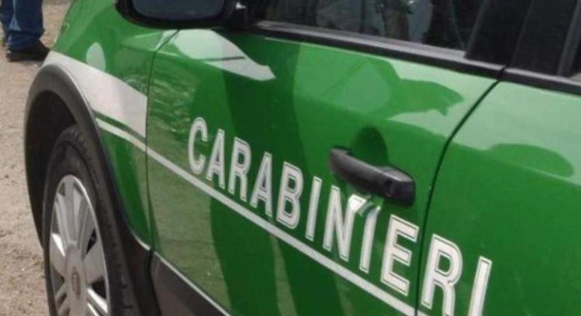Reflui scaricati direttamente sul suolo. Sequestrato un impianto per il trattamento di rifiuti ferrosi