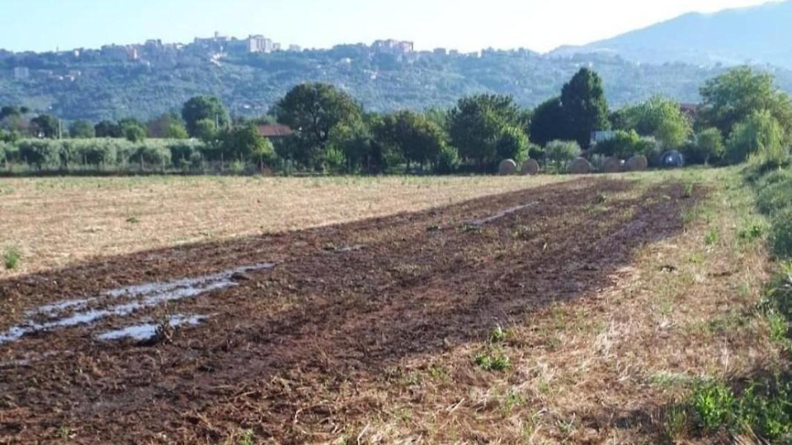 Liquami sparsi vicino alla sorgente. Scatta l'allarme