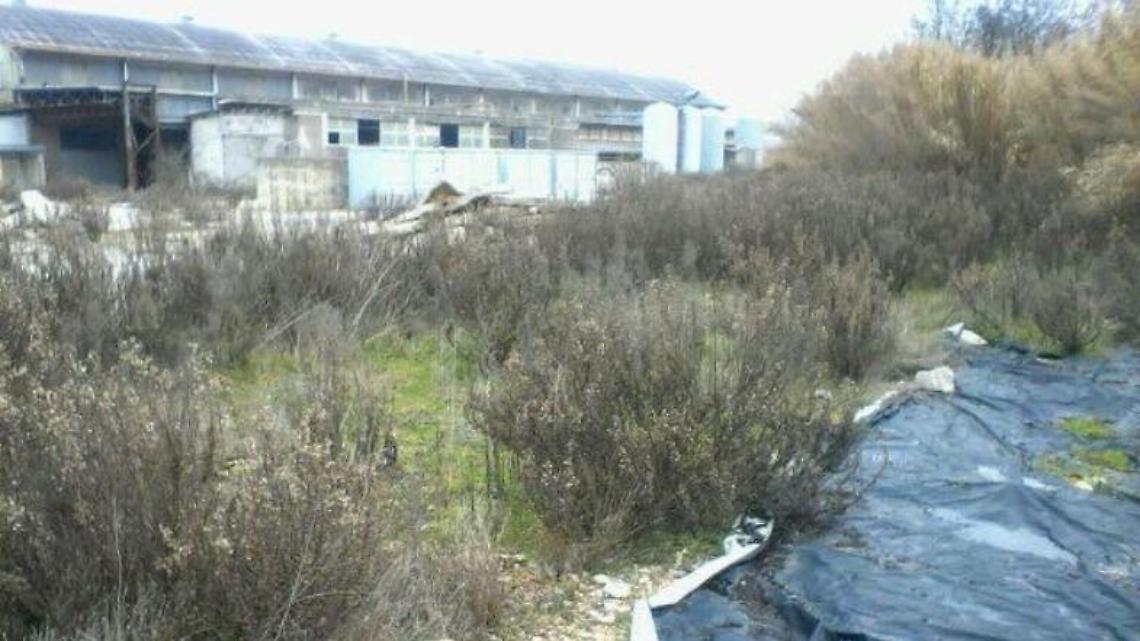 ex olivieri