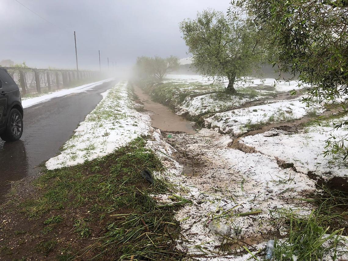 Sos grandine sulle colture scampate alle alte temperature