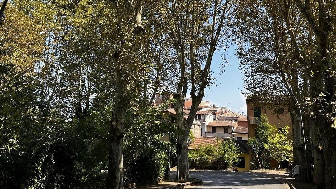 Alberata, Terme, Parco: tempi indefiniti