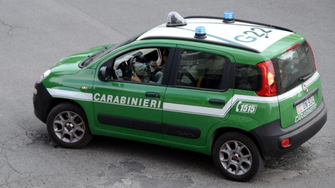 carabinieri forestale