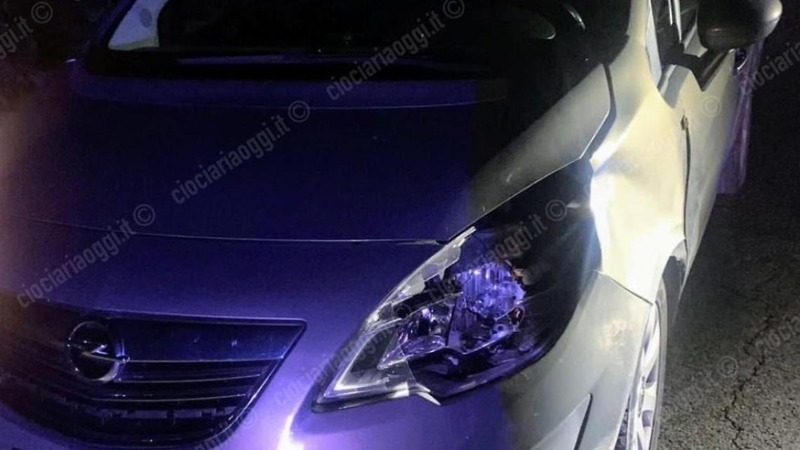 Orso investito da un'auto vicino al cimitero