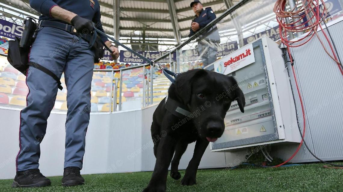 controlli stadio