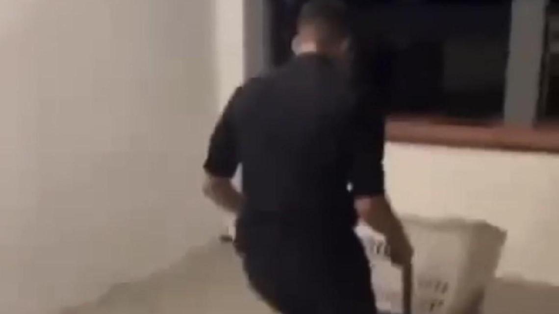 Capretta seviziata, sopralluoghi e interrogatorio per gli indagati