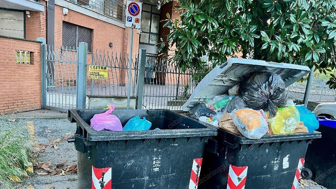 Cassonetti e rifiuti parcheggiati al posto dei disabili