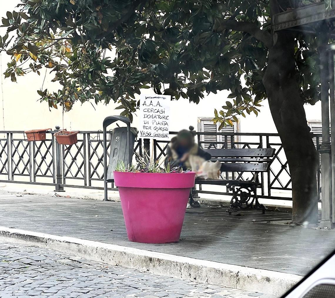 Vaso senza fiori, spunta un cartello: si cerca un donatore