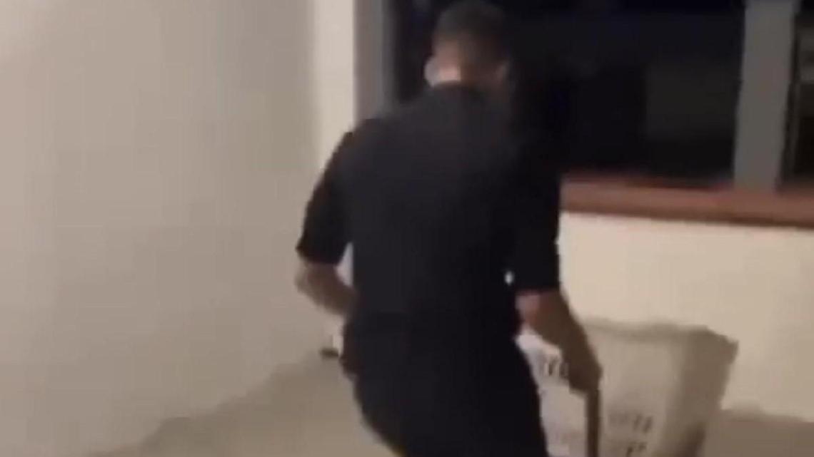 Giallo della capretta. Carcassa sparita, scatta l'esposto