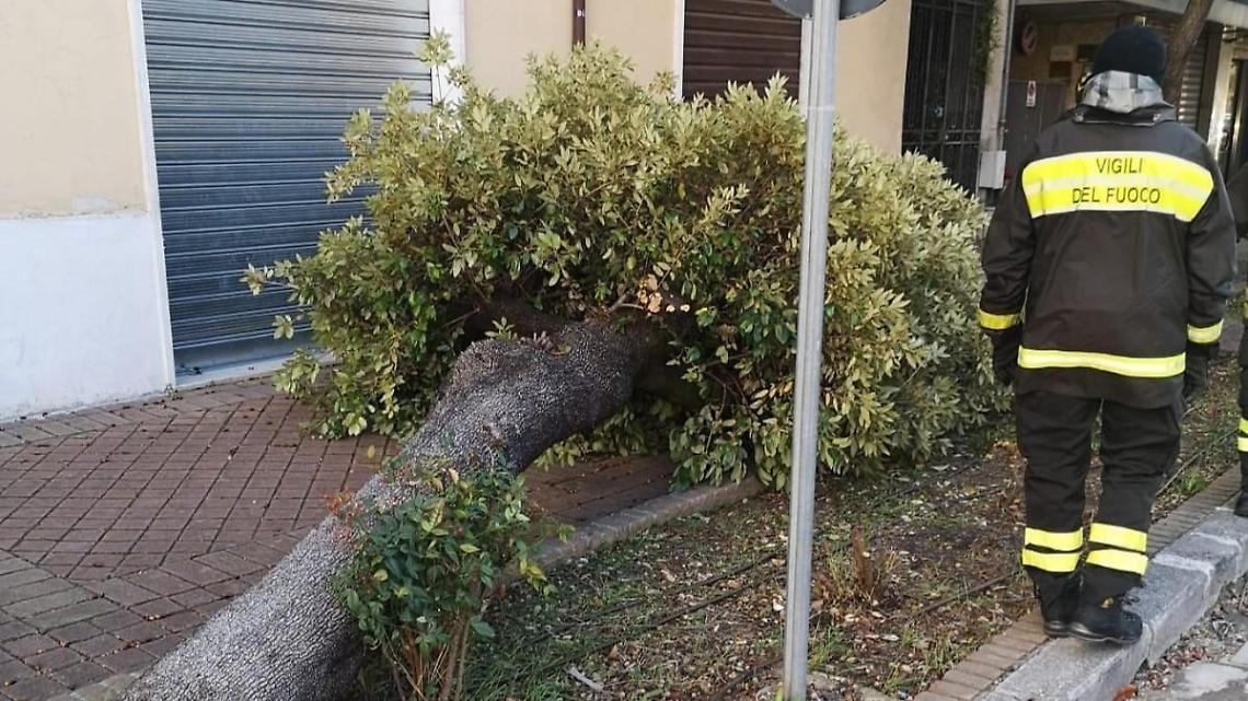 Lamiere divelte dal vento e un albero caduto