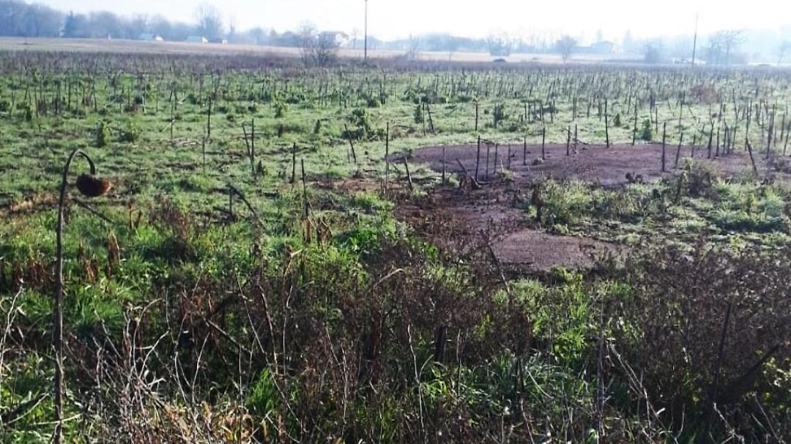 Liquami sparsi sui terreni. Sorgente La Sala a rischio