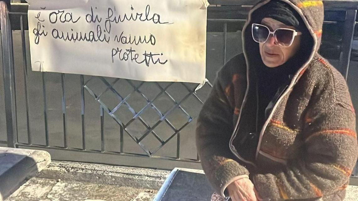 Le investono sei gatti e le avvelenano i cani. La protesta della signora Tiziana Monti
