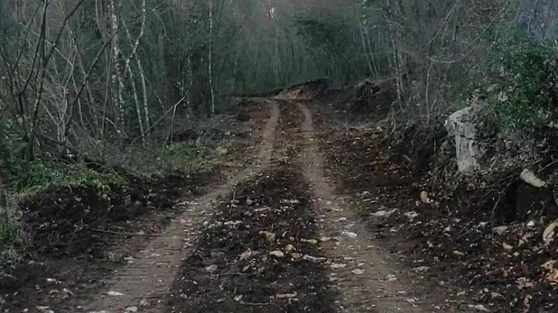 Ippovia ripristinata. Il percorso riaperto al turismo nella natura