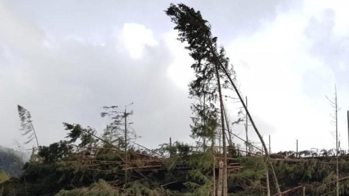In arrivo venti forti: allerta gialla