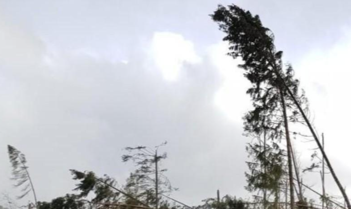 Previsti venti forti: emessa l'allerta gialla