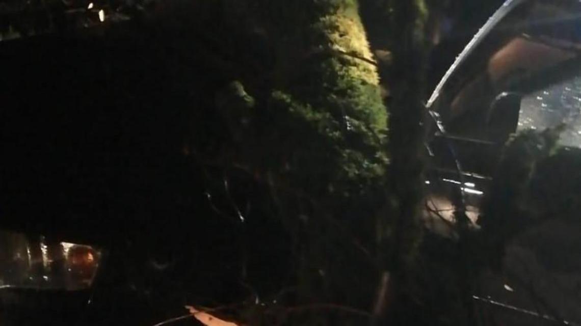 Quercia cade su un'auto. Ferito un uomo di settantacinque anni