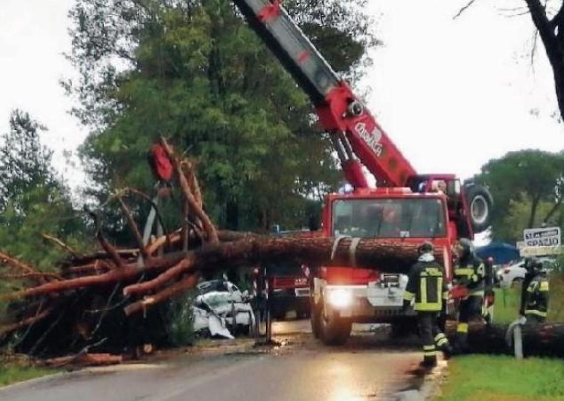 Uccisi da un pino. Acquisita in aula la relazione: morti sul colpo