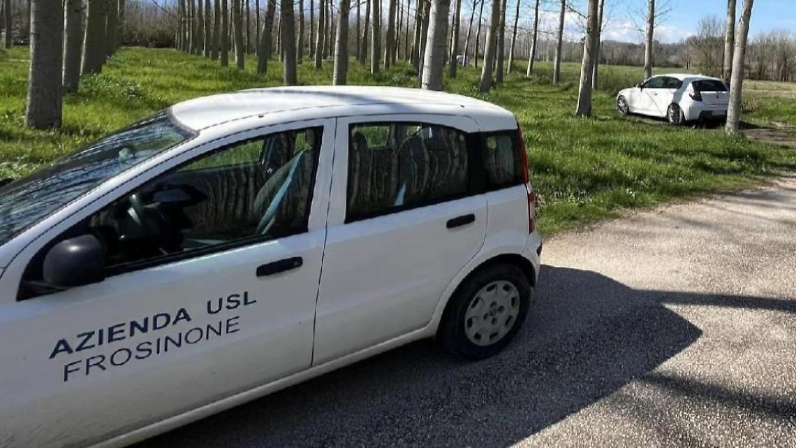 Due cani uccisi brutalmente e abbandonati nelle campagne