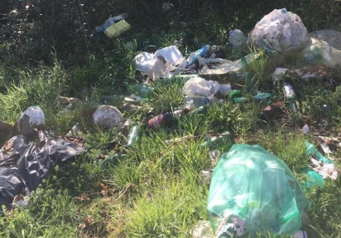 Ripulite le sponde del lago di Canterno. Raccolti diversi chili d'immondizia