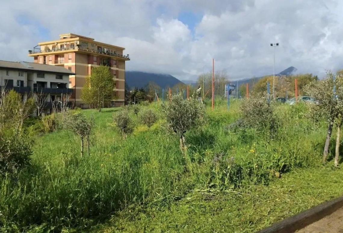 Mercato coperto, il fronte del no scende in piazza