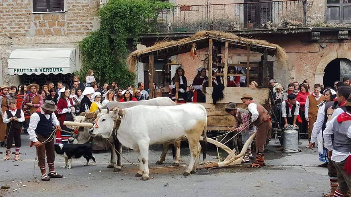 Sagra a Santa Francesca. Crespelle e carri folcloristici nella popolosa frazione verolana