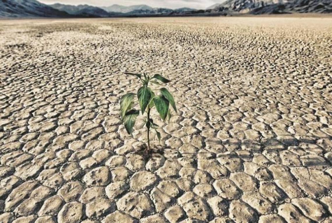 Allarme rosso: le riserve d'acqua vanno verso l'estinzione totale