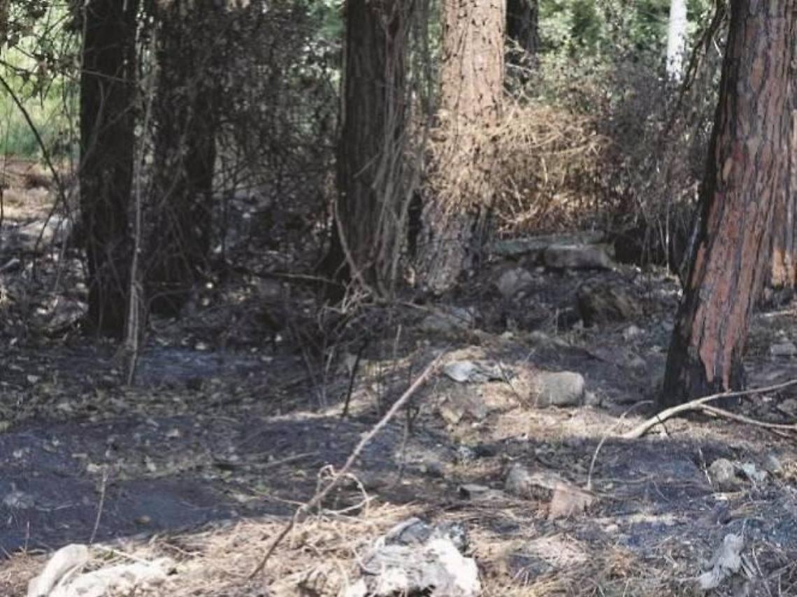 Veleni interrati e salute a rischio, un esposto denuncia: caravan sotterrati nei boschi