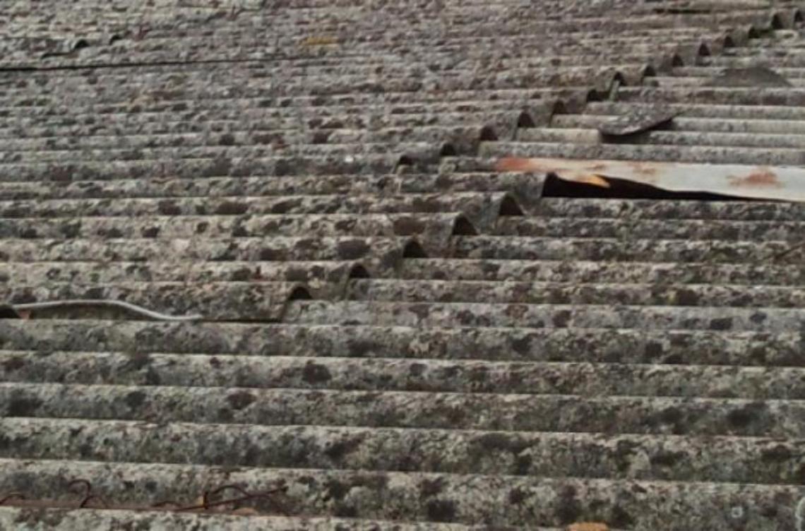 Amianto, ratti e serpenti nei casolari abbandonati. Un cittadino segnala la situazione di degrado