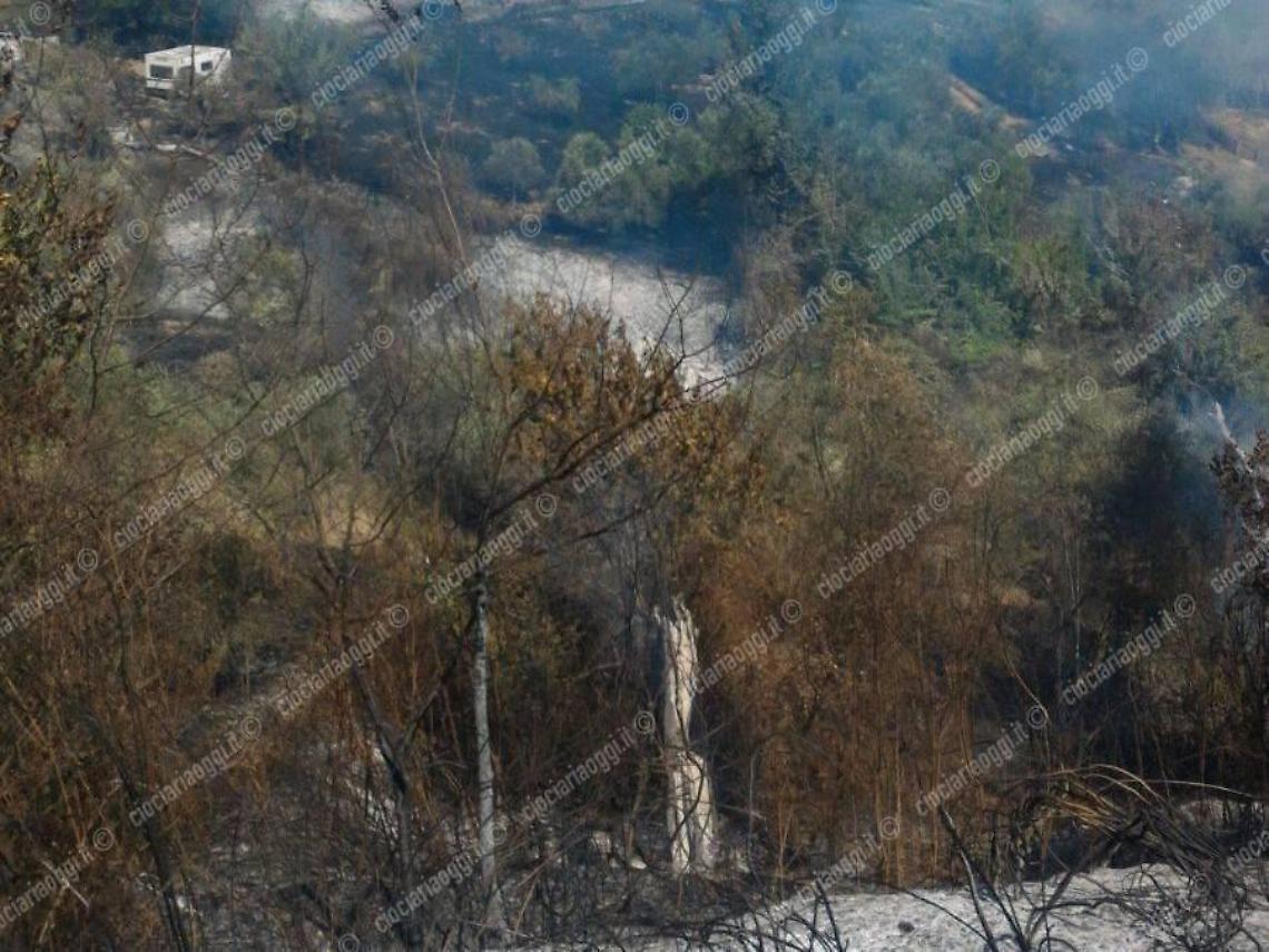 Contadino distratto provoca un incendio, quindi si autodenuncia alle forze dell'ordine