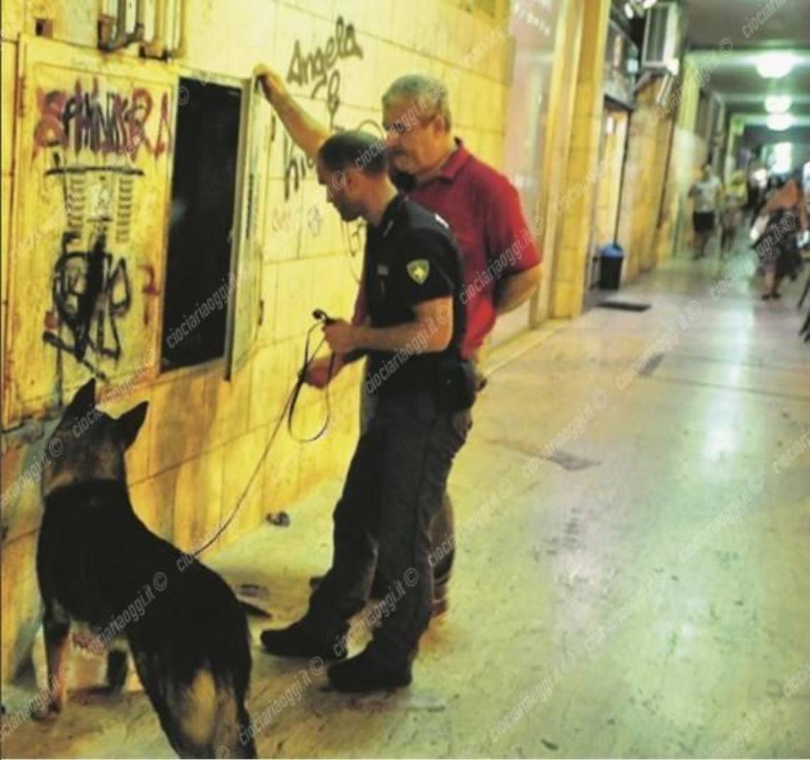 Guerra allo spaccio: "piove" droga in centro, dosi lanciate durante i blitz. In azione uomini e cani