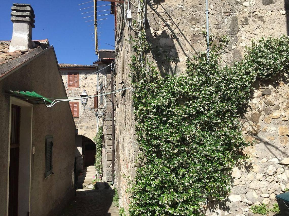 "Case a 1 euro": la sfida del sindaco per ripopolare il centro storico