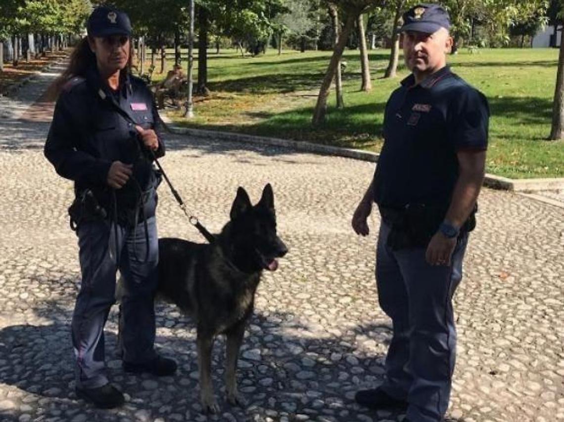 Jago tra i banchi di scuola: trova hashish e marijuana