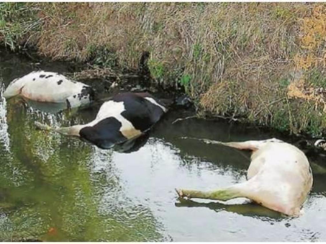 Valle del Sacco avvelenata: tumori in aumento di oltre il 250%. Le Iene riaccendono i riflettori sull'emergenza