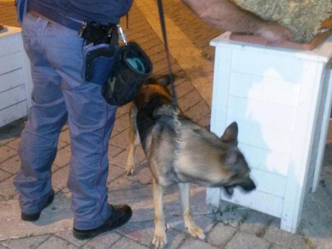 [L'INTERVISTA] Droga a scuola: tra i banchi si annidano consumatori e pusher