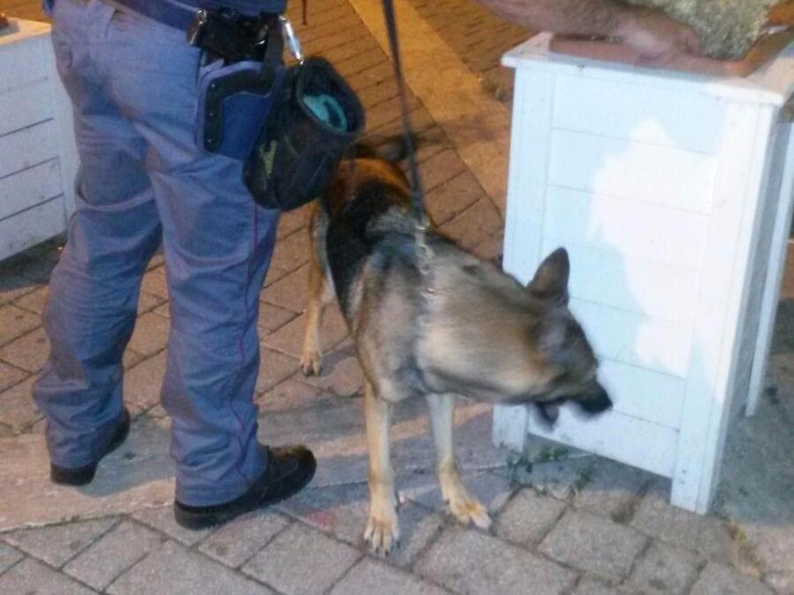 Lotta allo spaccio, i nascondigli della droga: cocaina anche tra i canarini