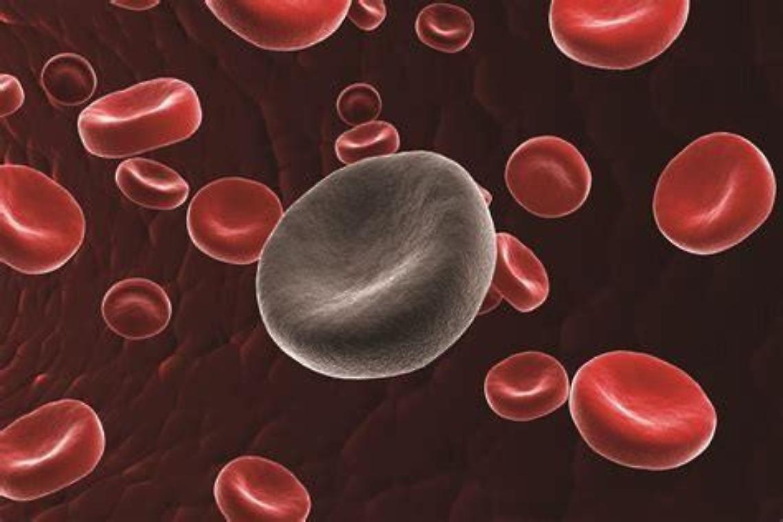Da Sora agli States, un cordone ombelicale salva una vita
