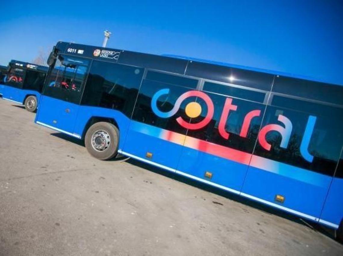 Aghi nei sedili dei pullman Cotral: responsabile incastrato dalle telecamere