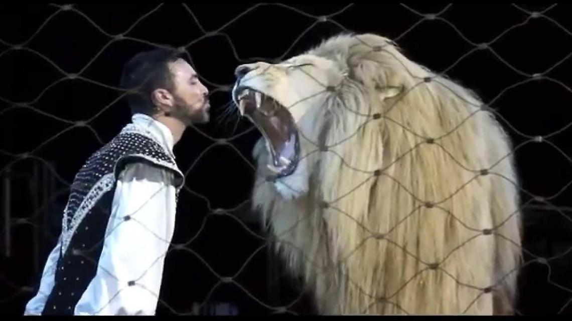Il famoso circo Orfei raddoppia in Ciociaria, gli appuntamenti